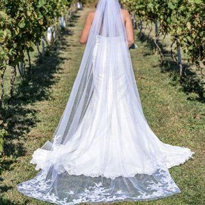 Wedding Dress & Veil